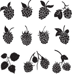 Black vector illustration of minimalist raspberry silhouettes