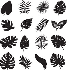 Collection of tropical leaves clean simple vector silhouette black vector illustration