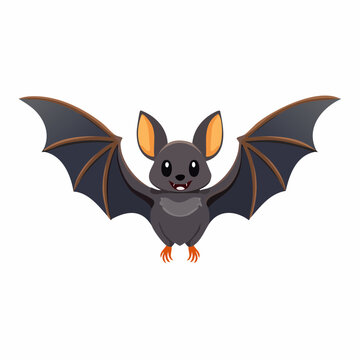  Fledermaus mit ge&ouml;ffneten Fl&uuml;geln