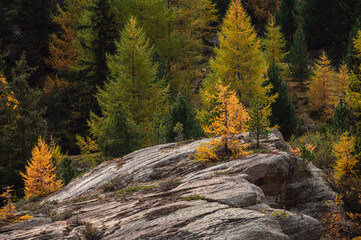 autumnal landscape inside Forni’s Glacier Valley, Santa Caterina Valfurva, Bormio, Sondrio