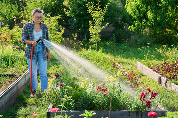 Woman with hose watering vegetable flower plants on raised garden bed