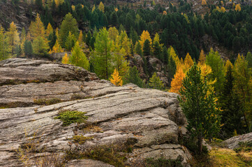 autumnal landscape inside Forni’s Glacier Valley, Santa Caterina Valfurva, Bormio, Sondrio