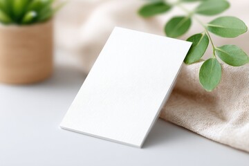 Minimalistic blank card displayed next to small plant on soft fa