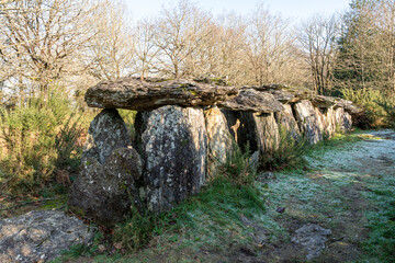 Site m&eacute;galithique de Bretagne