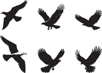 Fototapeta premium Seagull Flying Wings fully spread body in flight tail extended behind. full length silhouette black vector illustration