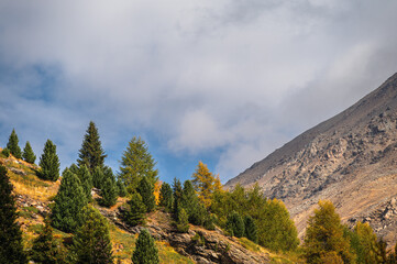 autumnal landscape inside Forni’s Glacier Valley, Santa Caterina Valfurva, Bormio, Sondrio