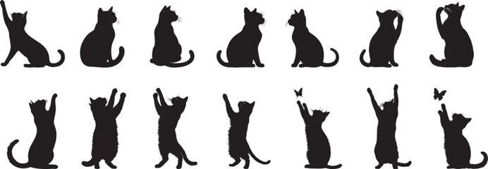 Sitting Cat Silhouette A relaxed cat sitting with tail curled around its paws. full length silhouette black vector illustration