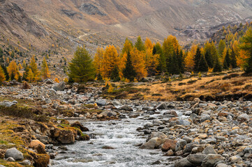autumnal landscape inside Forni’s Glacier Valley, Santa Caterina Valfurva, Bormio, Sondrio