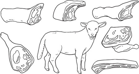 A hand-drawn illustration showing a lamb surrounded by various cuts of lamb meat. This diagram is perfect for butcher shops, restaurant menus, cooking blogs, or educational materials related to meat.