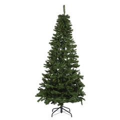 christmas tree isolated on white