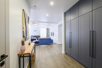modern interior features a hallway with gray cabinets, wooden floor tiles, and a console table with decorative items. A blue sofa is visible in the living area