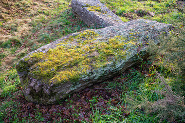 Menhir et dolmen