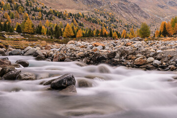 autumnal landscape inside Forni’s Glacier Valley, Santa Caterina Valfurva, Bormio, Sondrio