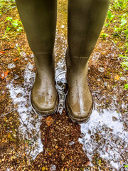 Person wearing rubber boots in shallow puddle, raindrops and mud on forest path. Rainy weather and...