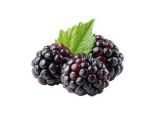 Dark ripe blackberries with green leaf juicy fresh, Isolated, Png Transparent Background