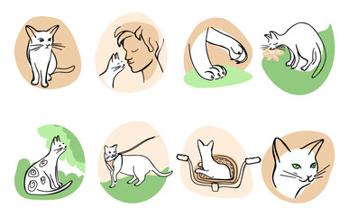 Vector set of doodle elements for home cat theme design
