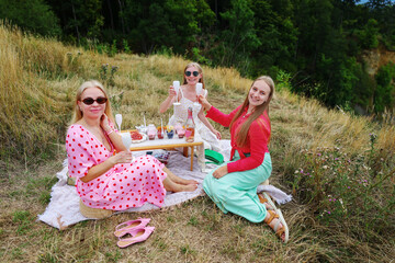 Outdoor picnic with gourmet snacks, mini desserts, and wine being poured, summer leisure and...