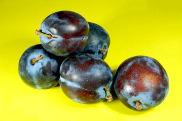 ripe blue plums with stems on a yellow background