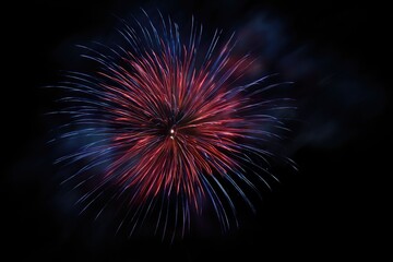 Fototapeta premium Red and blue fireworks burst against a black night sky