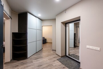 modern hallway with a large wardrobe, mirror, and light wood floor. Minimalist design with neutral colors