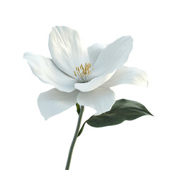Naklejka premium Elegant White Flower Soft Petals Delicate Bloom Nature Beauty