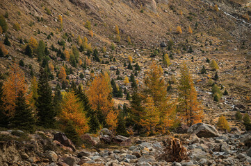 autumnal landscape inside Forni’s Glacier Valley, Santa Caterina Valfurva, Bormio, Sondrio