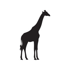 Cute giraffe silhouette vector flat illustration design on white background