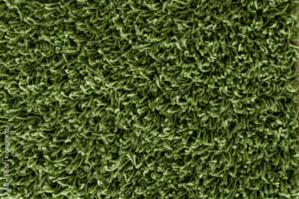 Poster high-resolution image of a green shag carpet texture. perfect for backgrounds and design projects.