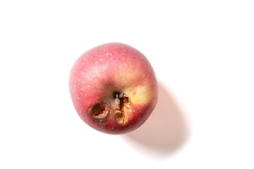 ripe apple bited by insect on white