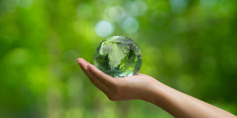 Sustainable environment concept, crystal globe in hand with trees in big forest, save our planet, world environment day, global sustainable environment