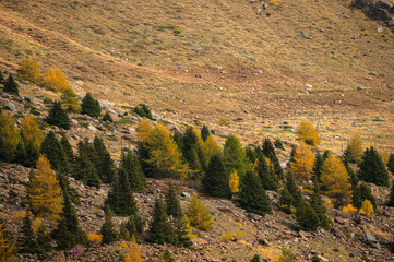 autumnal landscape inside Forni’s Glacier Valley, Santa Caterina Valfurva, Bormio, Sondrio