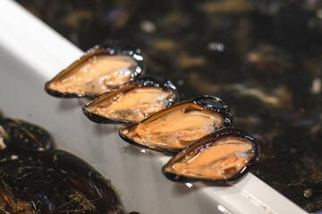 Fresh raw mussels displayed open in a fishery or street food local market