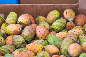 Fresh ripe prickly pears or cactus fruit, a seasonal Mediterranean fruit displayed in a cardboard box at a fruit and vegetable market