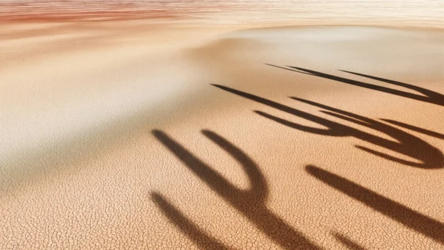 Stylized Cactus Shadows on Warm Desert Ground
