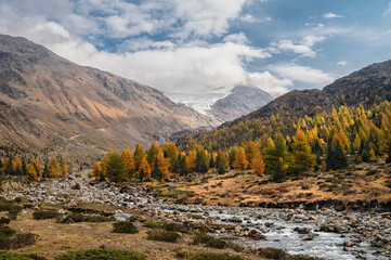 autumnal landscape inside Forni’s Glacier Valley, Santa Caterina Valfurva, Bormio, Sondrio