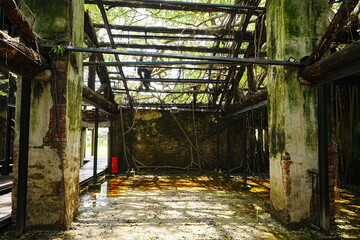Anping Tree House in Tainan, Taiwan - 台湾 台南 安平樹屋