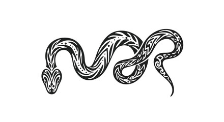 Obraz premium Vector Design Collection - Abstract Tribal Patterns and Health Illustrations