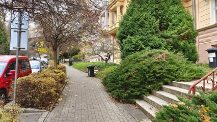 Along the asphalted roadway of a city street with parked cars are historic buildings, sidewalks, flowerbeds, bushes and trees with yellow foliage. Fallen leaves lie on the tiled sidewalk Cloudy autumn