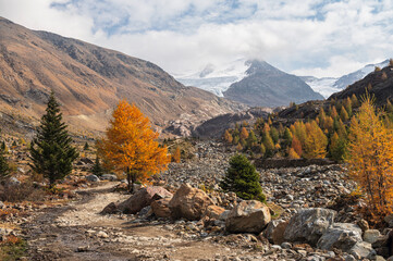 autumnal landscape inside Forni’s Glacier Valley, Santa Caterina Valfurva, Bormio, Sondrio
