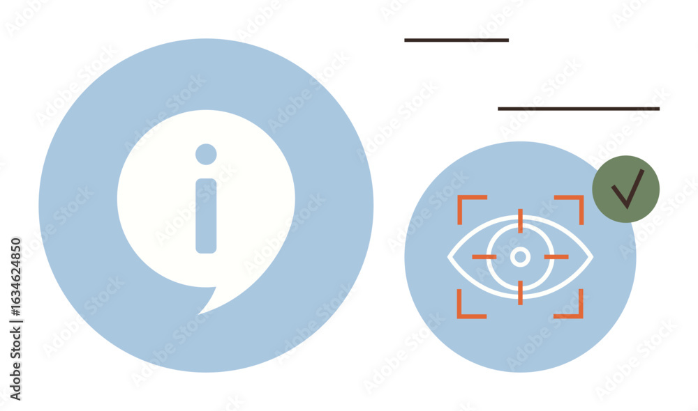 Poster information icon and an eye within a targeting frame, checkmark, horizontal bars. ideal for analytic
