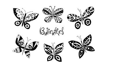 Fototapeta premium butterflies multiples