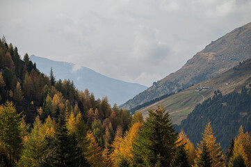 autumnal landscape inside Forni’s Glacier Valley, Santa Caterina Valfurva, Bormio, Sondrio