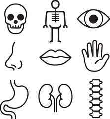 Anatomy icons featuring human body elements designed for educational, healthcare, and science related visuals