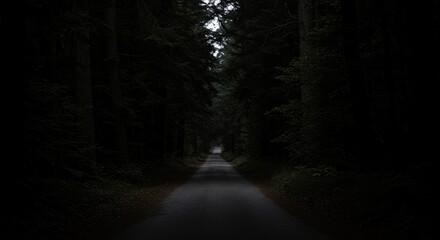Obraz premium A narrow road cutting through a pitch-dark forest enveloped by overhanging trees