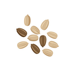 Illustration of Nuts in Various Shades of Brown