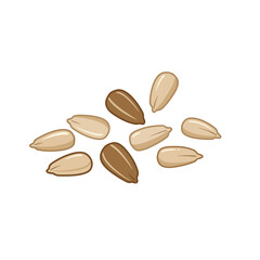 A Collection of Sunflower Seeds in Various Shades