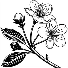 black and white floral background