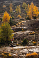 autumnal landscape inside Forni’s Glacier Valley, Santa Caterina Valfurva, Bormio, Sondrio