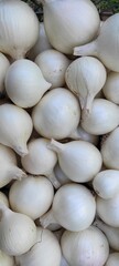 Freshly Harvested White Onions Showcasing Their Crisp, Clean Skin and Healthy Size for Culinary Use and Cooking Needs