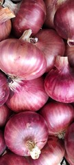 Harvest of Vibrant Blue and Purple Onions Collected From Local Fields in Early Autumn